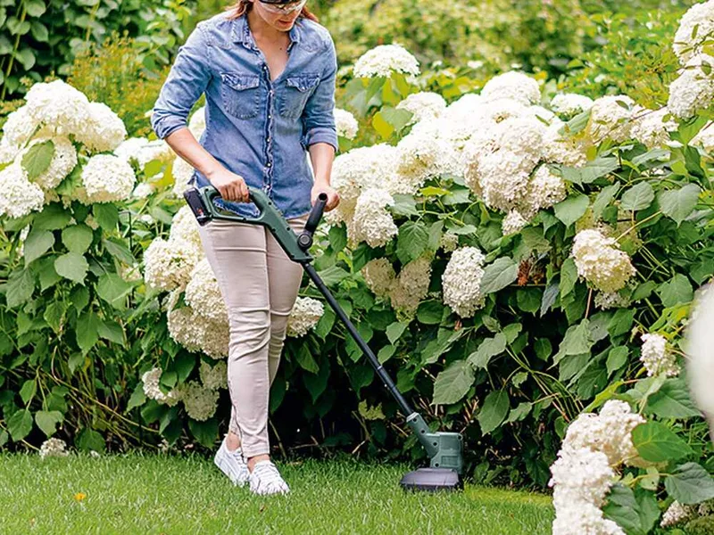 Bosch EasyGrassCut 18-260 - Coupe-bordure à batterie - 18 V 2.5 Ah