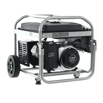 BlackStone BG 6050 - Groupe électrogène sur chariot à essence avec AVR 4.3 kW - Continue 4 kW Monophasé