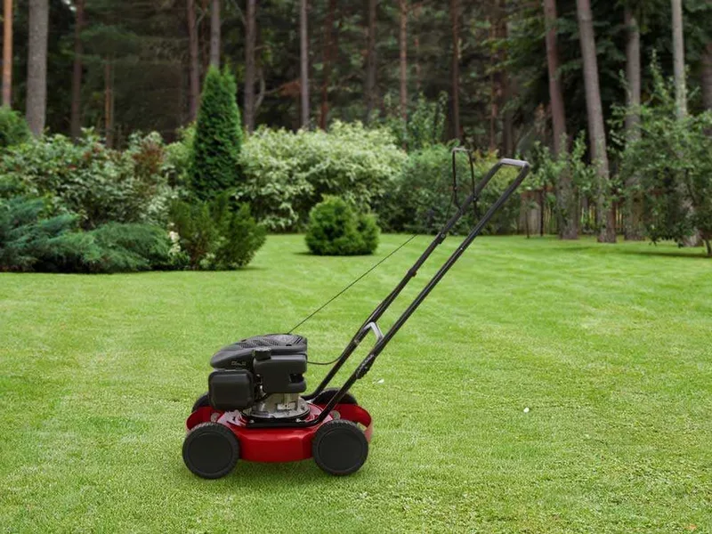 Marina System Speedy L - Tondeuse à gazon mulching à poussée manuelle - Moteur Loncin LC1P65FE