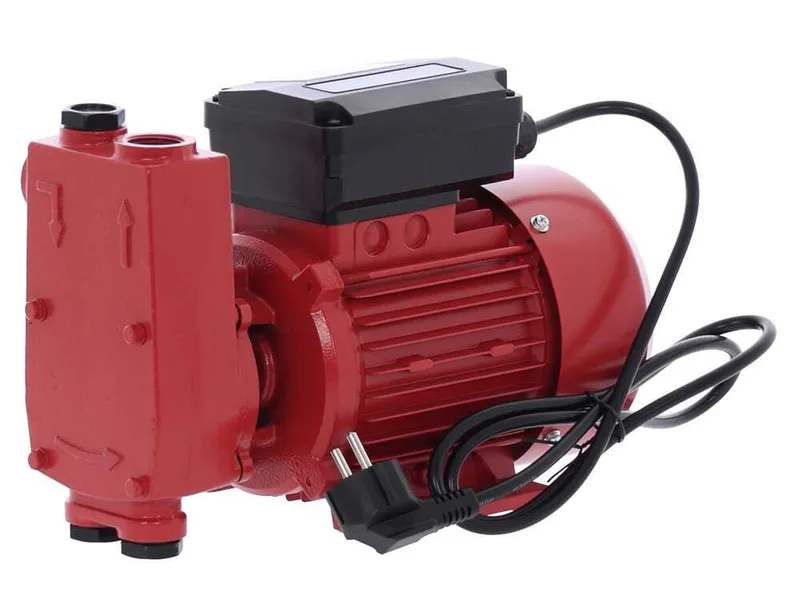 Ribimex PRKG130 - Pompe de transfert pour gasoil + kit distributeur