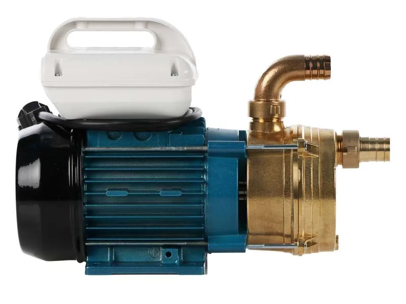 Tellarini EEM 25 - Pompe électrique de transfert en laiton - Monophasé - 230V