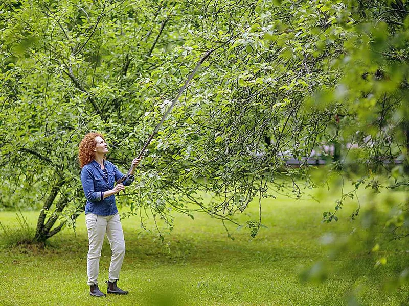 Fiskars Light UP69 - Coupe-branches sur longue perche orientable - Ø 12 mm