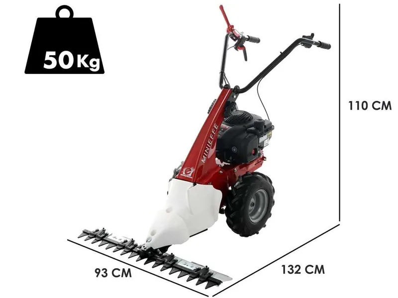 Eurosystems Minieffe - Motofaucheuse multifonction - B&S 450E
