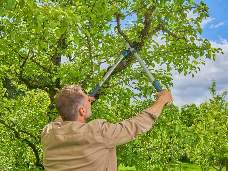Gardena EasyCut L - Coupe-branches Bypass - longueur 67cm
