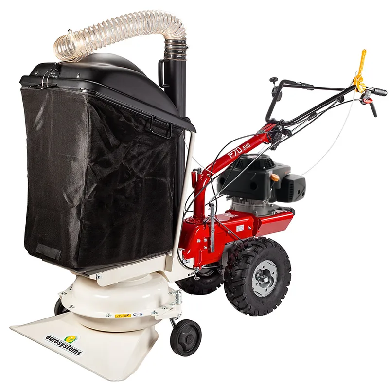 Eurosystems P70 EVO - Aspirateur à feuilles thermique - Loncin 224 OHV
