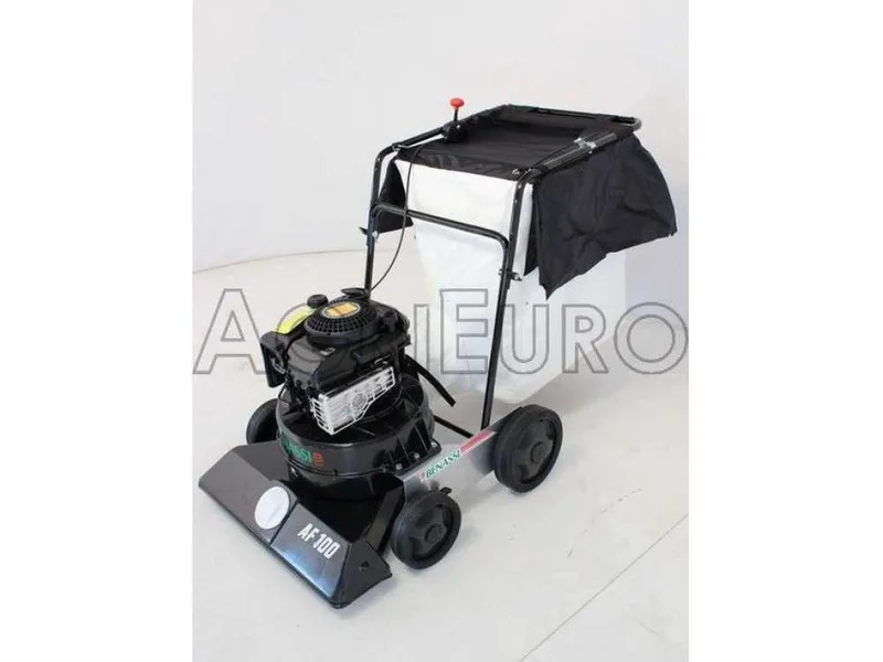 Benassi AF 100 - Aspirateur à feuilles sur roues à poussée manuelle - B&S 675 EXi