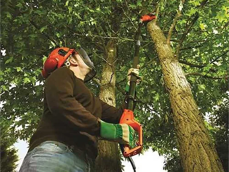 Perche élagueuse télescopique sur rallonge réglable Black & Decker PS7525-QS