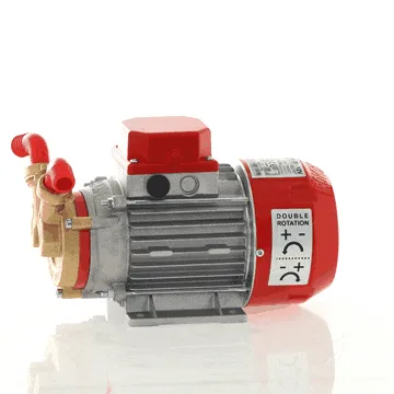 Rover Marina 20 - Pompe électrique de transfert en bronze - 12 V