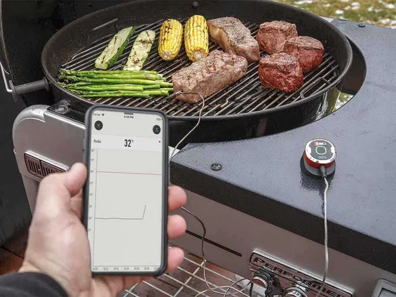 IGrill Mini Weber