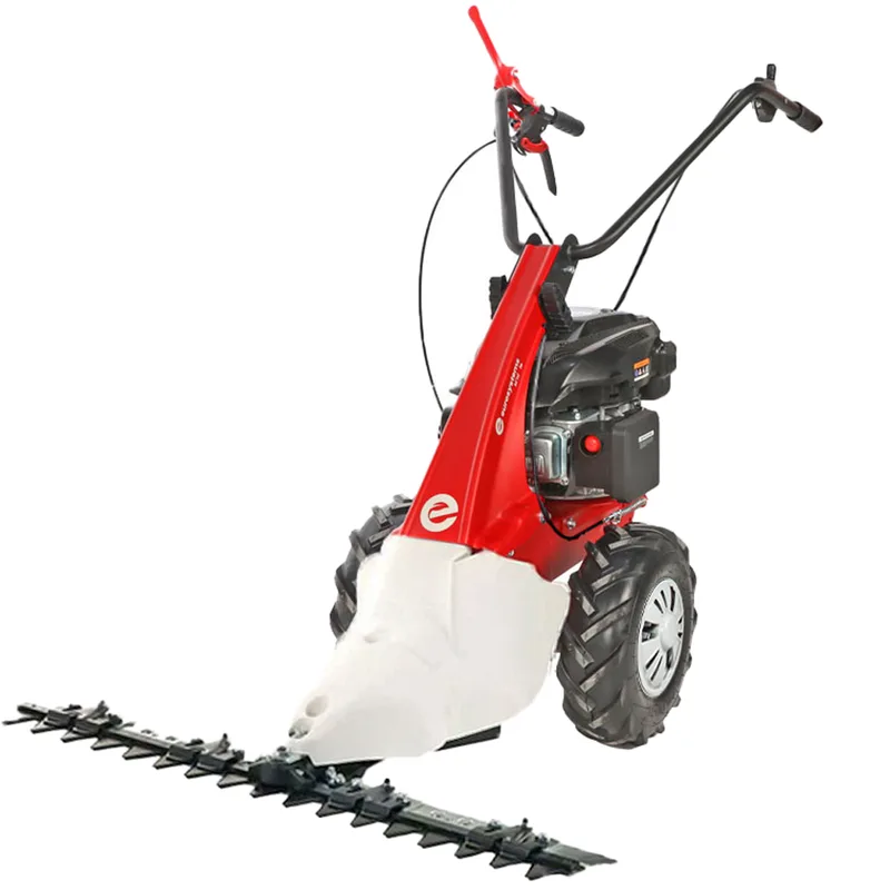 Eurosystems Minieffe RM - Motofaucheuse multifonction - Rato RV200