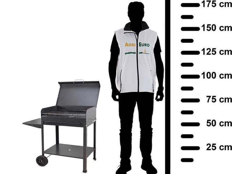 Mille Vanessa Medium - Barbecue à charbon en fer artisanal - 57,5x37 cm