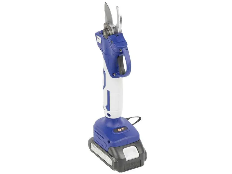 BullMach DIVIANE 25 - Sécateur électrique à batterie + Perche télescopique 130-200 cm - 2x21V 2Ah - Diamètre de coupe 25 mm
