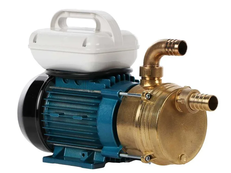 Tellarini EEM 25 - Pompe électrique de transfert en laiton - Monophasé - 230V