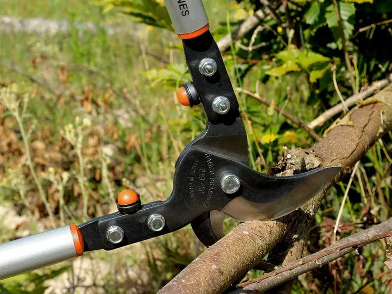 Bahco P19-80-F - Coupe-branches Bypass - Coupe 50 mm - Longueur 80 cm