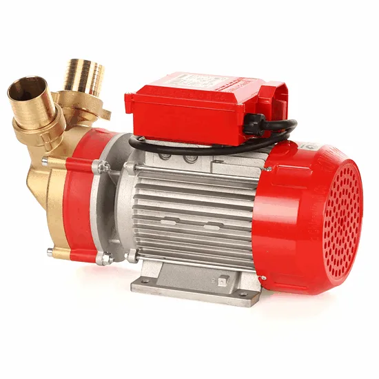 Rover BE-T 50 - Pompe électrique de transfert en bronze - Triphasée - 400 V
