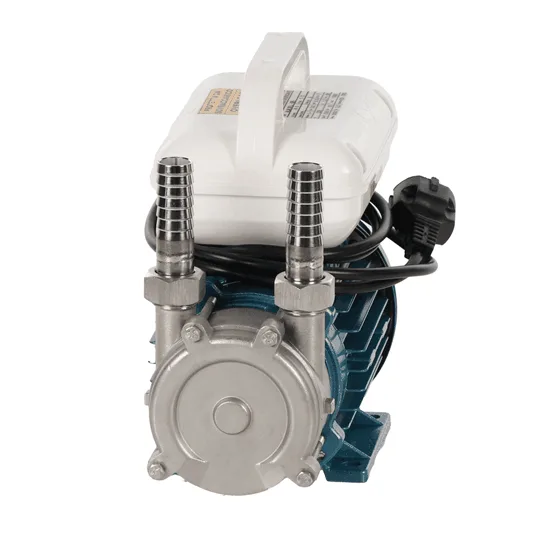 Tellarini ALM 20-SR - Pompe électrique de transfert d'huile en acier inoxydable - Raccord droits en acier inoxydable - Monophasé - 230V - Choisissez vos raccords