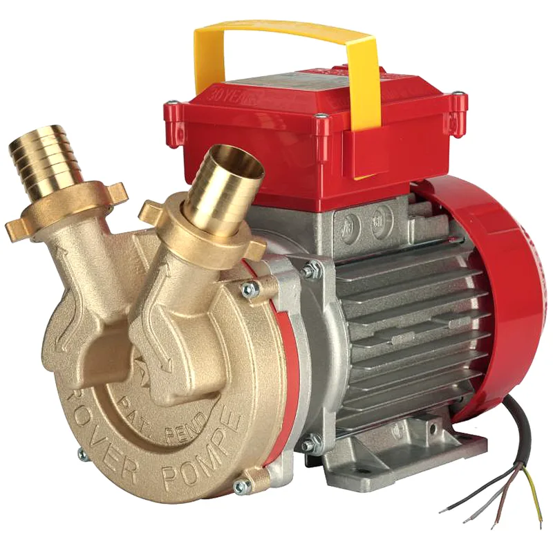 Rover BE-T 30 - Pompe électrique de transfert en bronze - Triphasée - 400 V