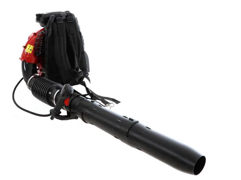 GeoTech BB 660 EVO - Souffleur de feuilles thermique à dos avec moteur 2 temps