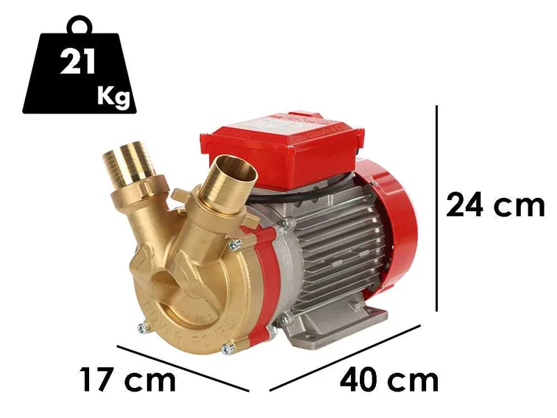 Rover BE-T 50 - Pompe électrique de transfert en bronze - Triphasée - 400 V