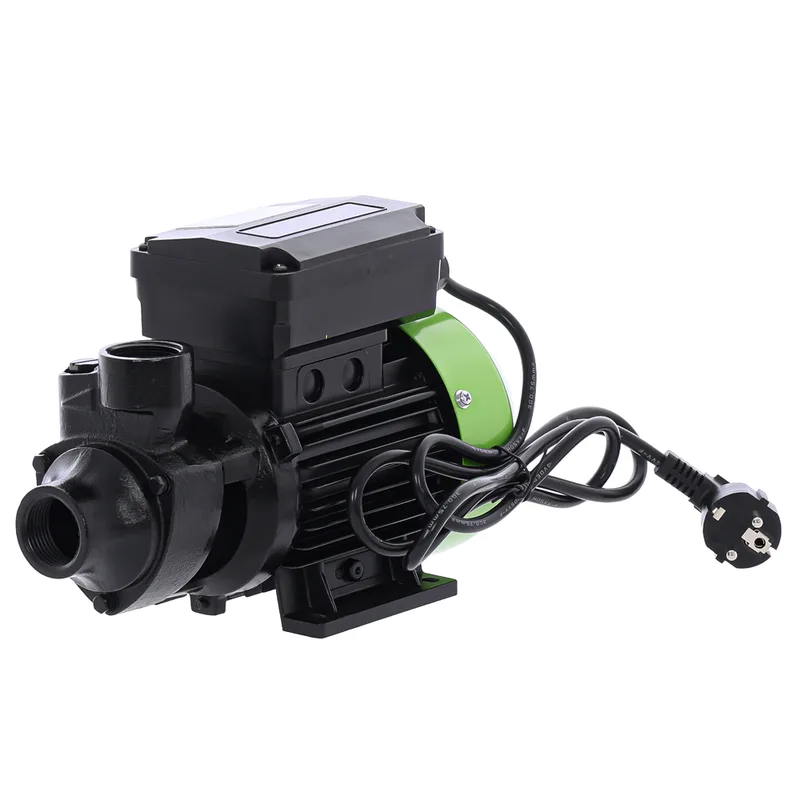 Ribimex PRPC115 - Pompe de transfert pour gasoil