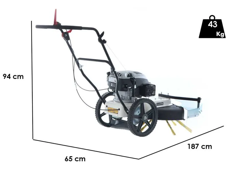 Balayeuse en acier avec moteur thermique à poussée BlackStone WYT 60-173 - Moteur 173 cm3