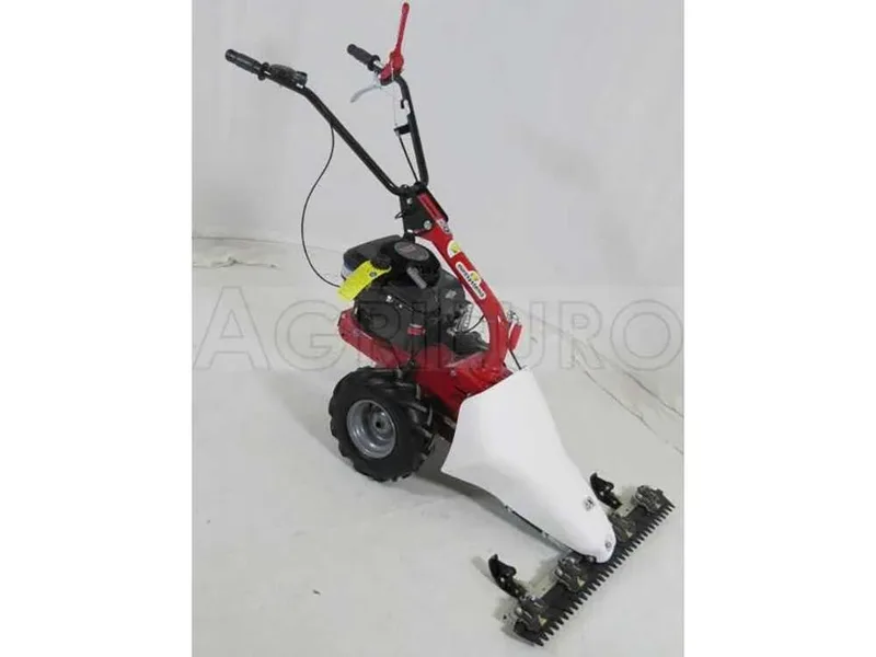 Eurosystems M210 - Motofaucheuse bilame - B&S 625