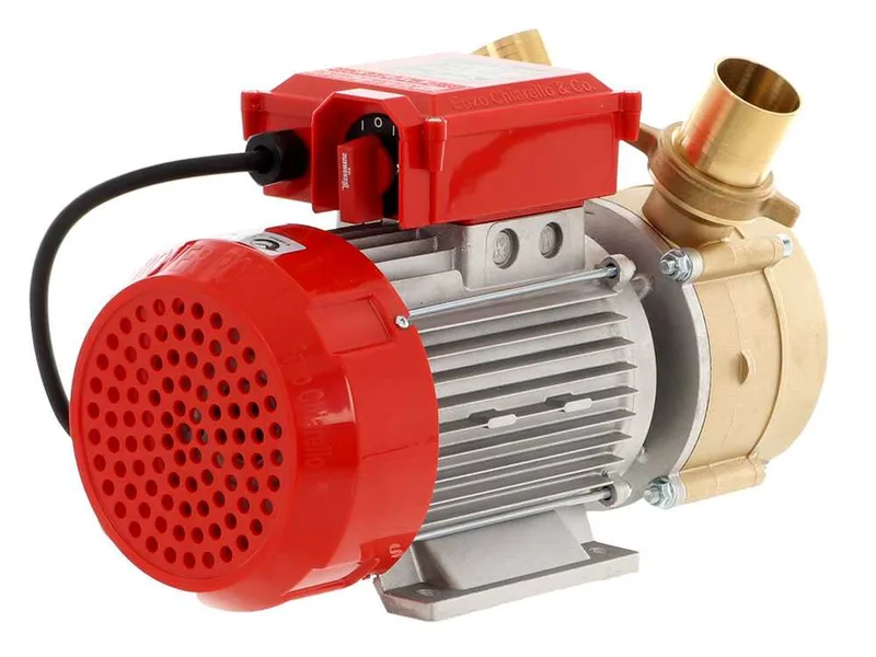 Rover BE-M 50 - Pompe électrique de transfert en bronze - Monophasée - 230 V