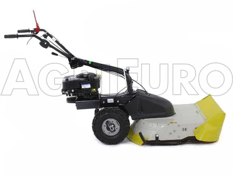 Eurosystems TM 70 RB EVO - Tondeuse débroussailleuse thermique - Lame - B&S 850E I/C