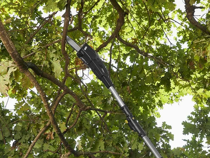 Alpina AMT 20 Li - Élagueuse sur perche télescopique à batterie multifonction - batterie 20V 4Ah