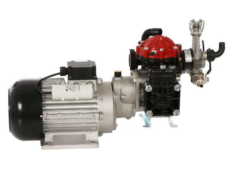 Kit motopompe de pulvérisation électrique avec chariot - Annovi reverberi AR 30 EM