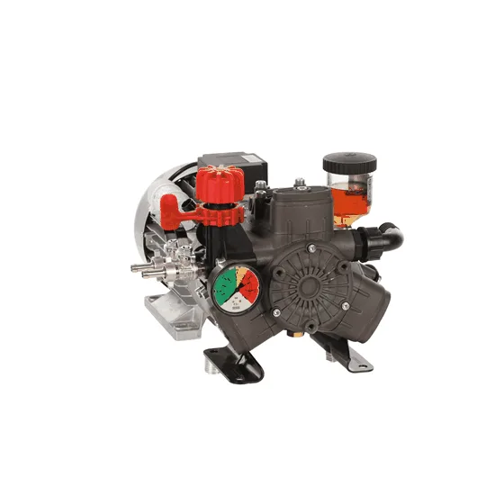 Annovi Reverberi AR 303 EM - Motopompe électrique de pulvérisation avec moteur monophasé