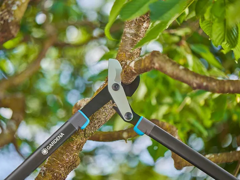 Gardena EnergyCut Pro L - Coupe-branches Bypass - Longueur 75 cm