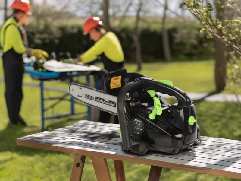 Ribimex PRTRT301PRO - Tronçonneuse de taille thermique - Lame de 30cm