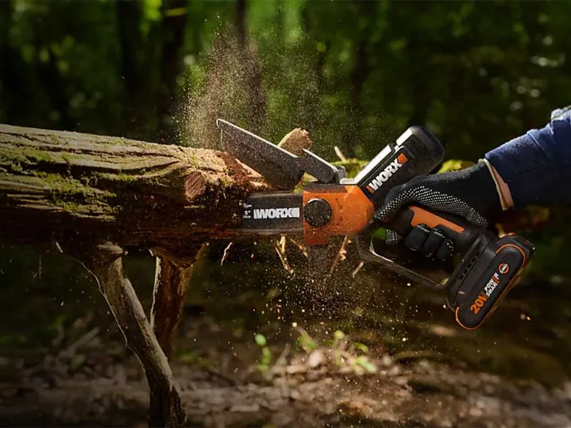 Worx WG326E - Élagueuse sur batterie + perche de rallonge de 125 cm - 20 V 2 Ah