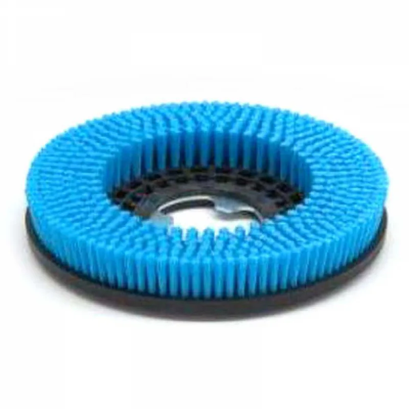 Brosse PPL Ø 0,3 pour autolaveuse Grande Brio 35