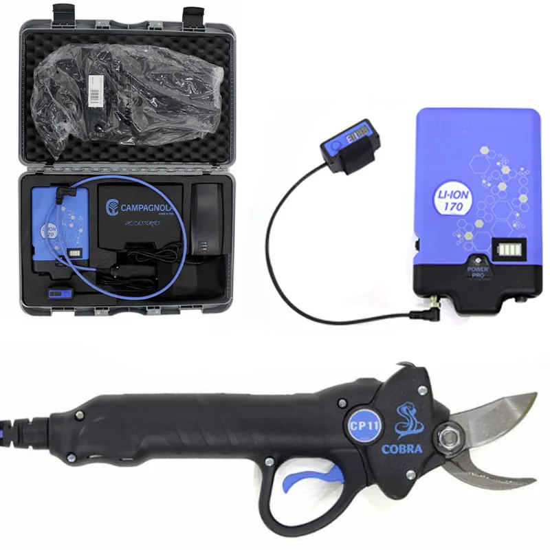 Sécateur électrique de taille Campagnola Cobra CP11, à batterie - Power Kit 170 LI-ION