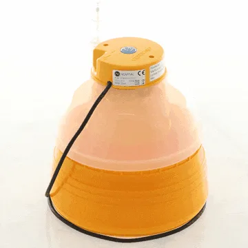 Novital Covatutto 7 new - Couveuse à œufs manuelle - 7 œufs