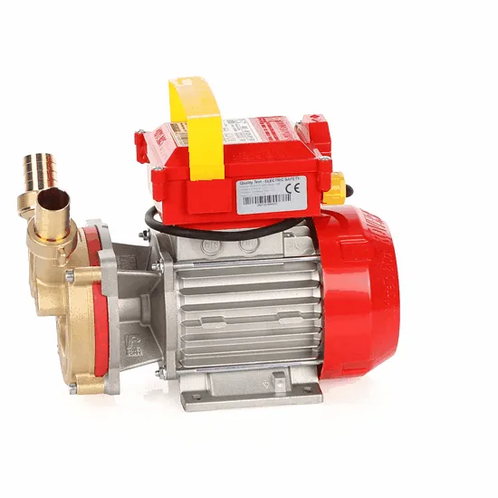 Rover BE-M 25 IP 55 - Pompe électrique de transfert en bronze avec protection IP55 - Monophasée - 230 V