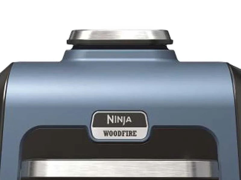 Ninja Woodfire Pro XL OG901EU - Friteuse à air avec fumoir