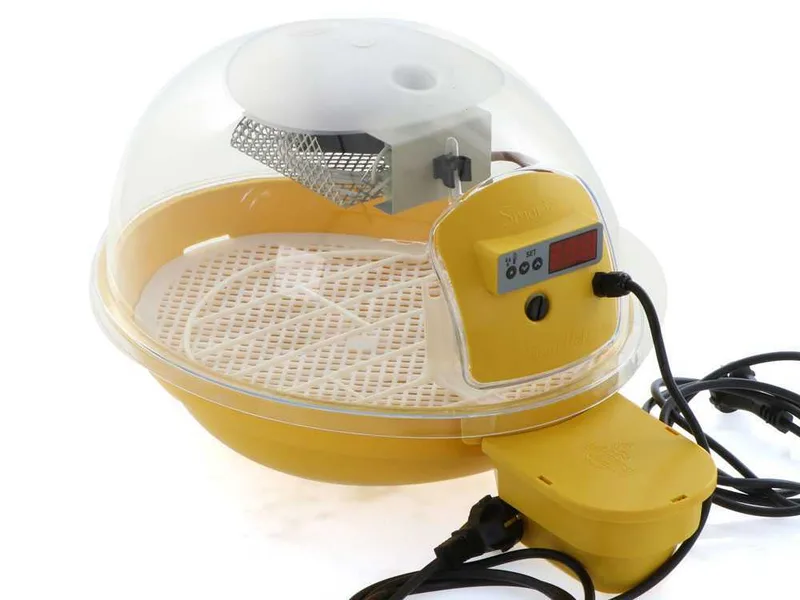 FIEM Smart Digitale 24 jaune - Couveuse pour œufs automatique - 24 œufs