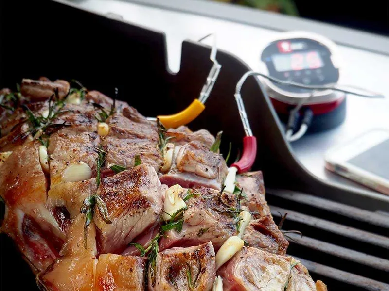 Thermomètre numérique IGrill 2 Weber