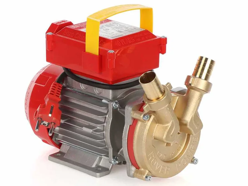 Rover BE-M 25 - Pompe électrique de transfert en bronze - Monophasée - 230 V
