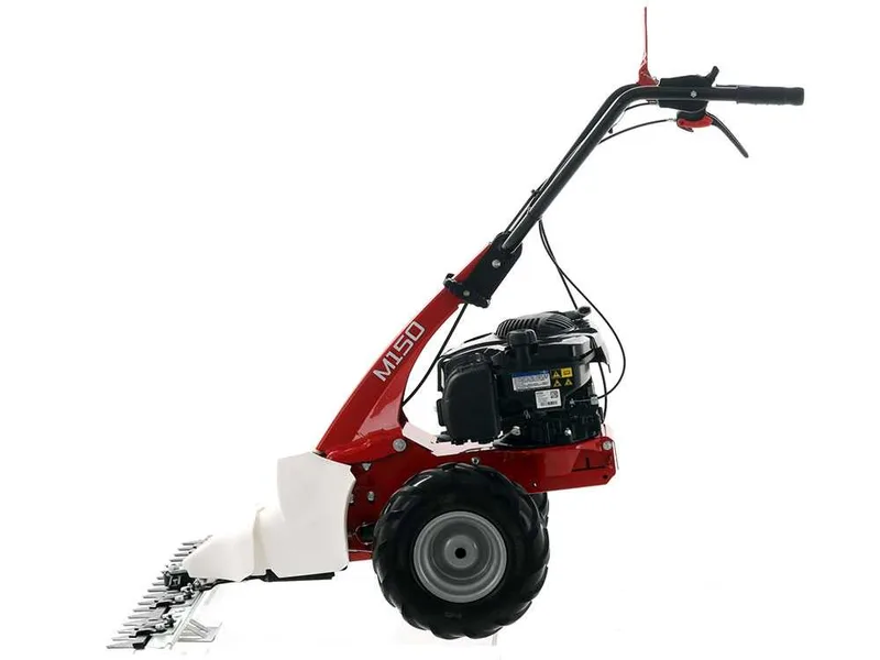 Eurosystems Minieffe M150 - Motofaucheuse multifonction - B&S 625 EXi