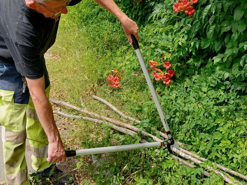 Bahco P173-SL-85 - Coupe-branche à enclume - Coupe 45 mm - Longueur 85 cm