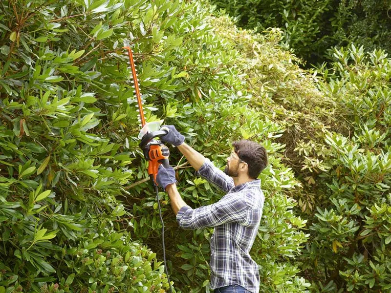 Black & Decker BEHTS401-QS - Taille-haie électrique avec lamier de 55 cm - 500W