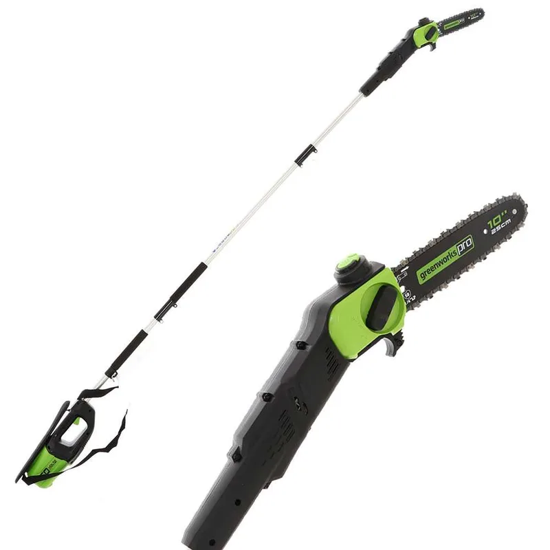Greenworks GD60PS - Perche élagueuse à batterie sur rallonge - Batterie 60V 2Ah