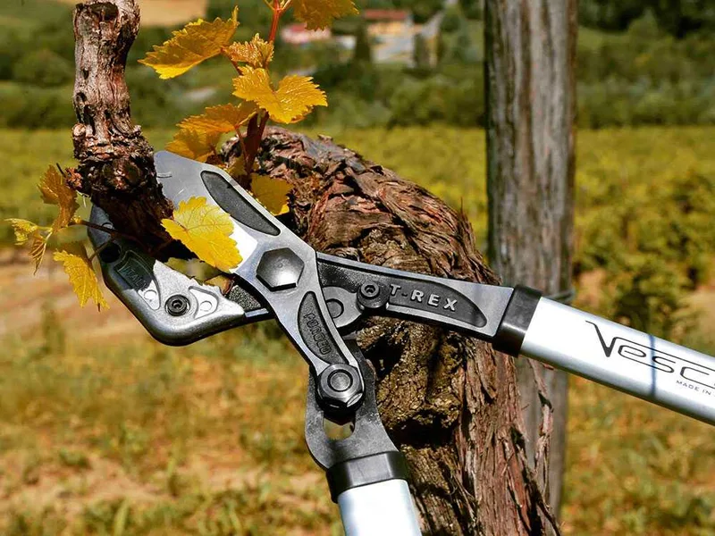 Vesco t-rex T20 - Coupe-branches à enclume courbe - Longueur 80 cm
