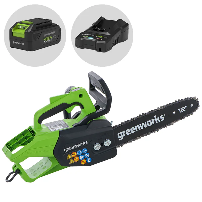 Greenworks GD48TCS - Tronçonneuse à batterie 48V 2Ah - Lame de 30 cm