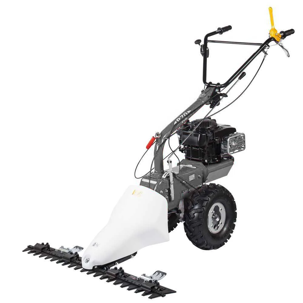 Eurosystems TM70RB EVO - Motofaucheuse multifonction bilame - B&S 850E I/C
