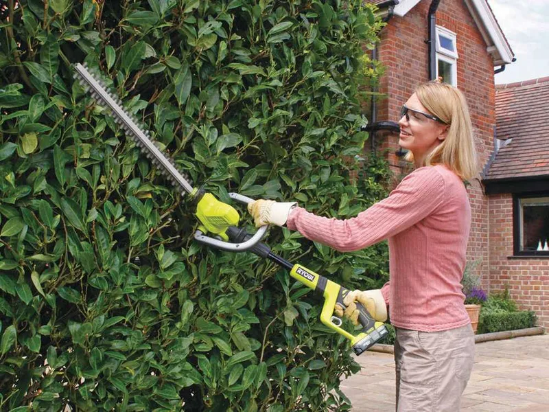 Ryobi OHT1850X - Taille-haie électrique sur perche de rallonge à batterie - Lame de 50 cm